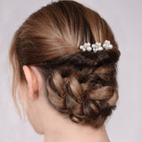Mara Pearl and Crystal Hairpin Set of 2