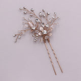 Anna Crystal Hair Pin Set of 2