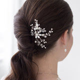 Anna Crystal Hair Pin Set of 2