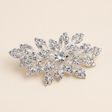 A sparkling crystal brooch with a central stone surrounded by intricate leaf-like designs.