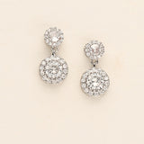 a pair of diamond earrings on a white background