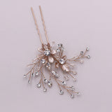Anna Crystal Hair Pin Set of 2